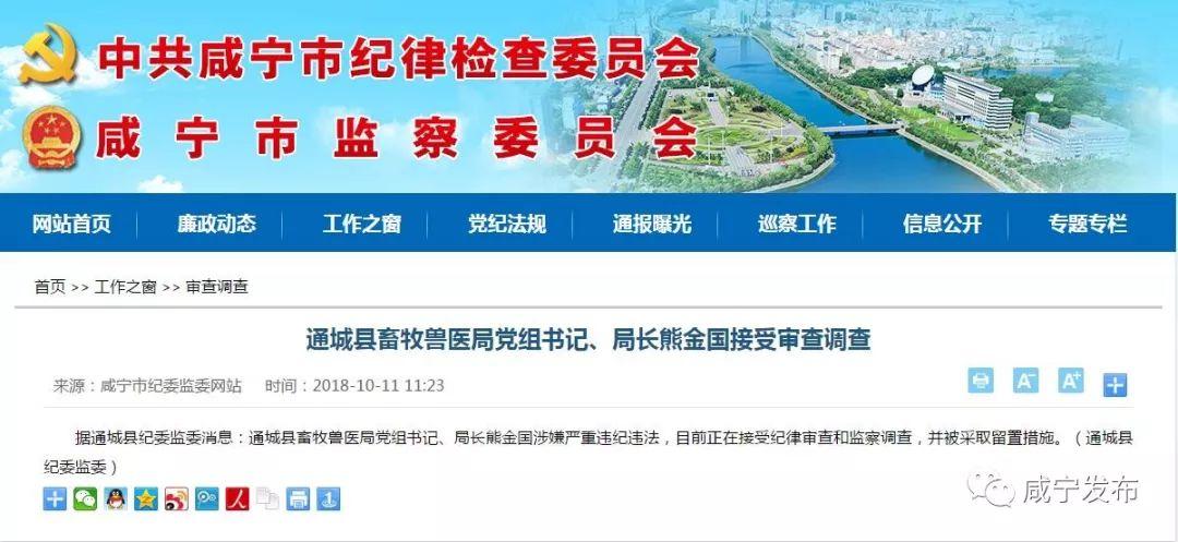 通城反腐最新消息，深化治理，构建廉洁政治生态