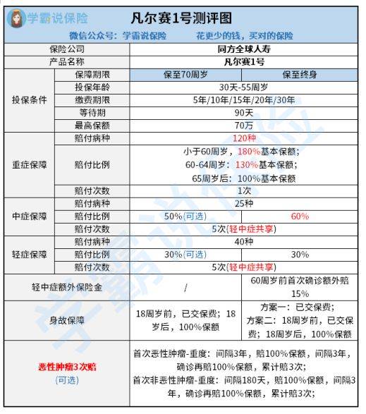 桃屋猫最新官网，探索与体验的独特世界