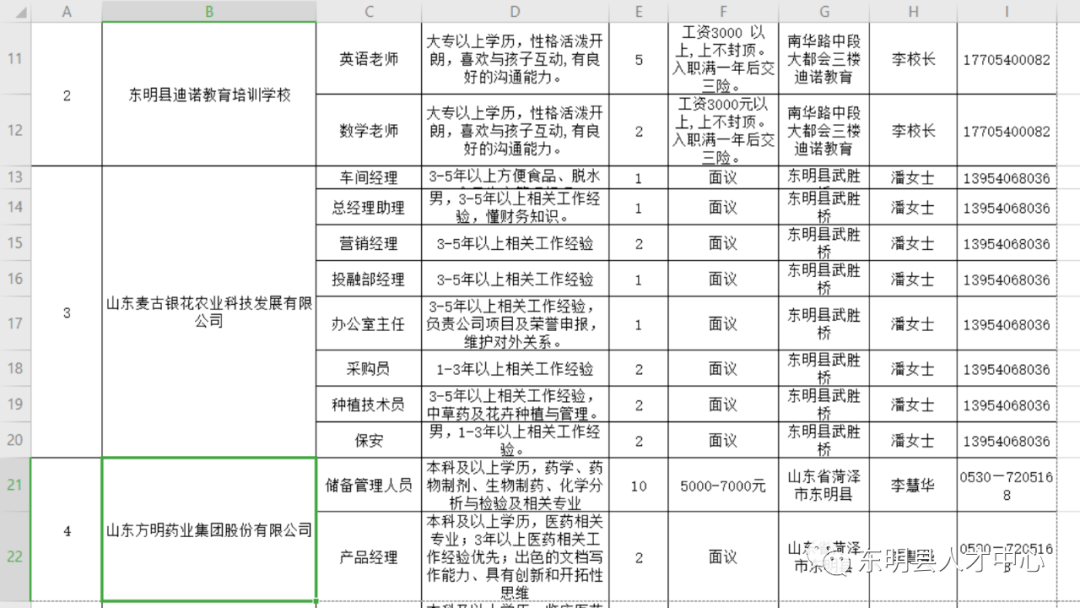 山东东明最新招聘动态及职业机会探讨