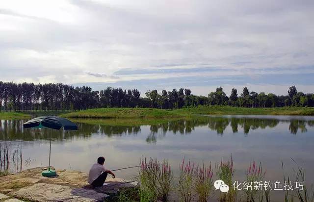 探索钓鱼艺术的新境界，化绍新最新钓鱼视频解析