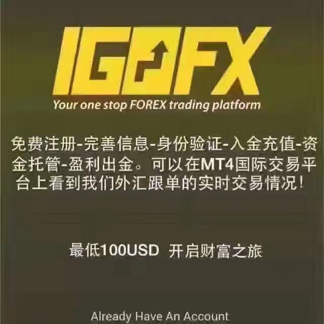 IGOFX最新动态，引领行业变革，打造卓越交易体验